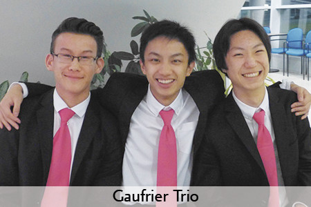 Gaufrier Trio